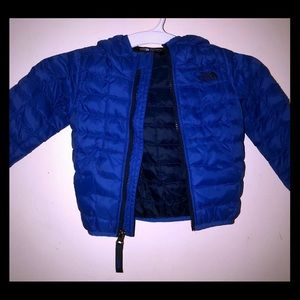 The North Face ThermoBall™ Eco Hoodie (Toddler)